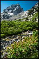 Stream and Middle Teton, Garnet Canyon. Grand Teton National Park ( color)