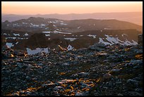 Alpine tundra and ridges at sunset, Lower Saddle. Grand Teton National Park ( color)