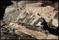 Climbers ascend steep wall on Grand Teton's direct Exum route. Grand Teton National Park ( color)