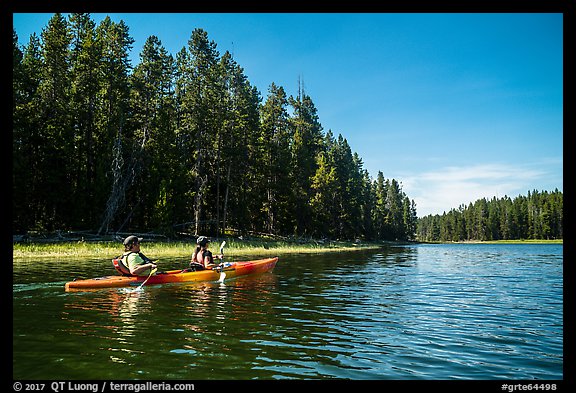 Kayakers in forested inlet, Colter Bay. Grand Teton National Park (color)