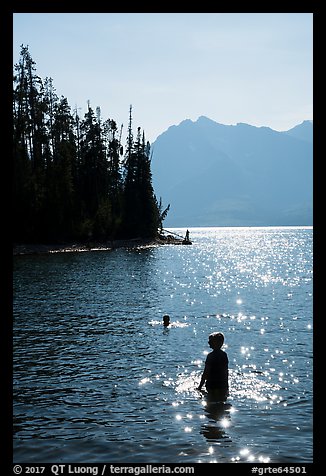 Late afternoon swim, Colter Bay. Grand Teton National Park (color)