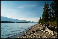 Beach, Colter Bay. Grand Teton National Park ( color)