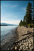 Driftwood on beach, Colter Bay. Grand Teton National Park ( color)