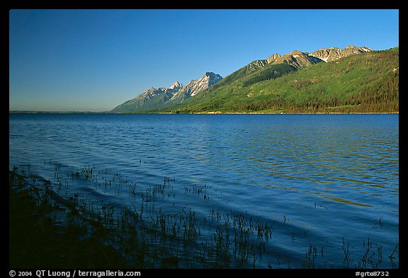 Teton range and Jackson Lake seen from Lizard Creek, early morning. Grand Teton National Park, Wyoming, USA.