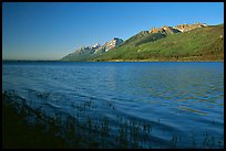 Teton range and Jackson Lake seen from Lizard Creek, early morning. Grand Teton National Park, Wyoming, USA.