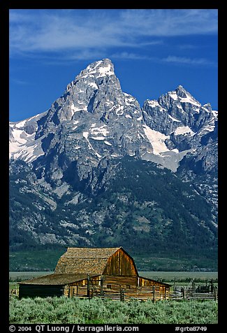 Historic Moulton Barn and Grand Tetons, morning. Grand Teton National Park, Wyoming, USA.