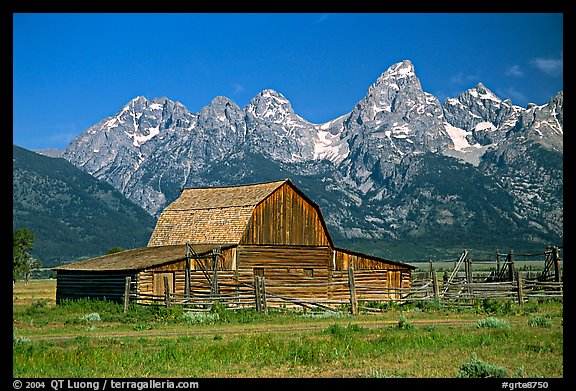 Historic Moulton Barn and Tetons mountain range, morning. Grand Teton National Park, Wyoming, USA.