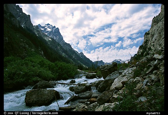 Cascade Creek flows in Cascade Canyon. Grand Teton National Park, Wyoming, USA.