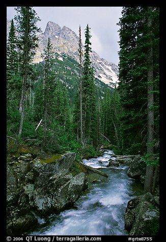 Cascade Creek and Tetons. Grand Teton National Park, Wyoming, USA.