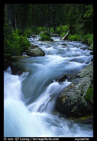 Cascade Creek flowing over rocks. Grand Teton National Park, Wyoming, USA.