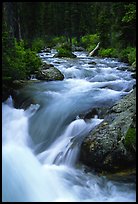 Cascade Creek flowing over rocks. Grand Teton National Park, Wyoming, USA.