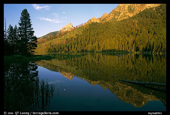 String Lake and Tetons, sunrise. Grand Teton National Park (color)