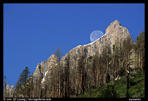 Moon and Grand Teton. Grand Teton National Park, Wyoming, USA.