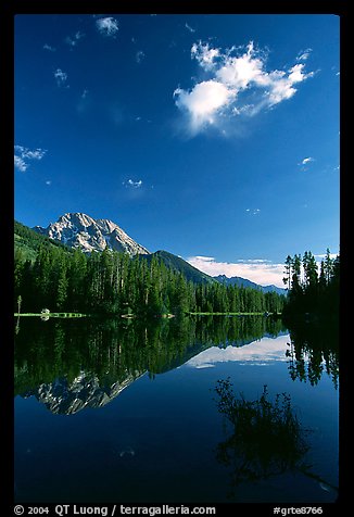 Mt Moran reflected in Leigh Lake, morning. Grand Teton National Park, Wyoming, USA.