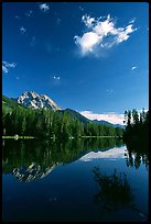 Mt Moran reflected in Leigh Lake, morning. Grand Teton National Park ( color)