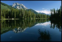 Mt Moran reflected in Leigh Lake, morning. Grand Teton National Park, Wyoming, USA.