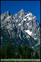 Rocky peaks of Cathedral group, morning. Grand Teton National Park, Wyoming, USA.
