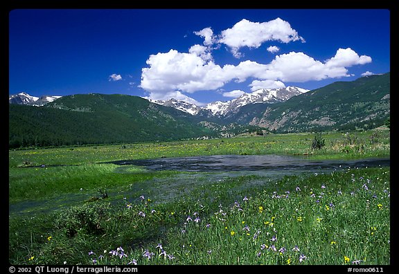 Summer flowers and stream in Many Parks area. Rocky Mountain National Park, Colorado, USA.