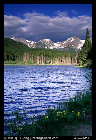 Windy morning, Sprague Lake. Rocky Mountain National Park, Colorado, USA.