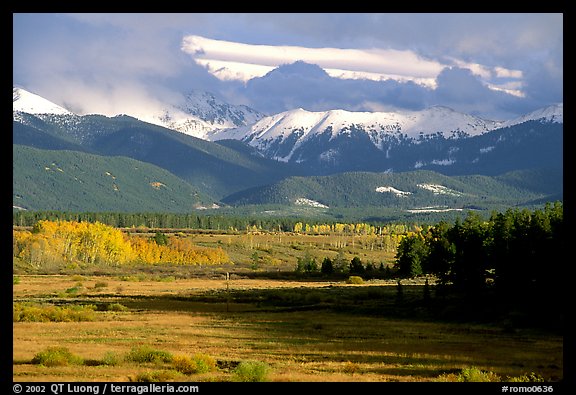 Fall color and mountain range. Colorado, USA