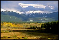 Fall color and mountain range. Colorado, USA (color)