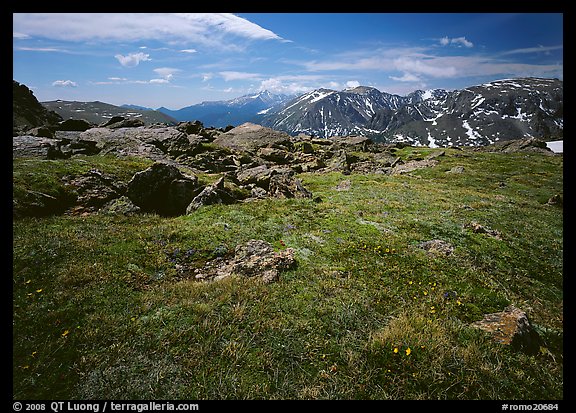 Alpine tundra near Trail Ridge Road in summer. Rocky Mountain National Park, Colorado, USA.