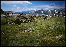 Alpine tundra near Trail Ridge Road in summer. Rocky Mountain National Park, Colorado, USA.