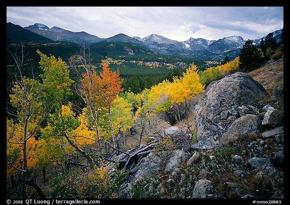 Aspens and mountain range in Glacier basin. Rocky Mountain National Park, Colorado, USA.