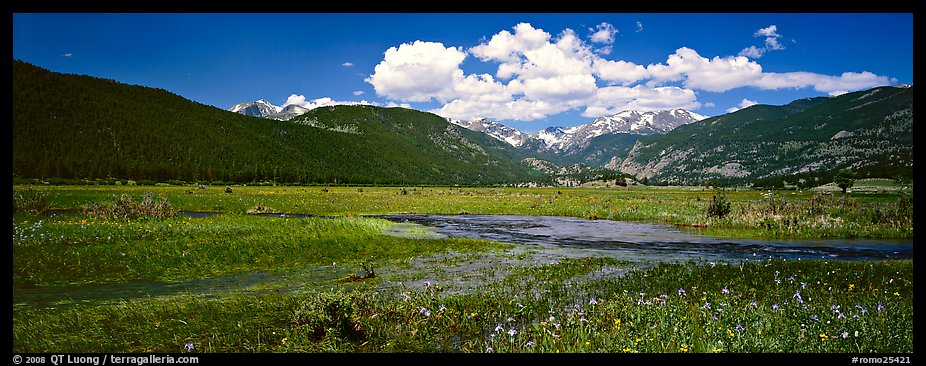 Summer wildflowers and stream in mountain meadow. Rocky Mountain National Park (color)