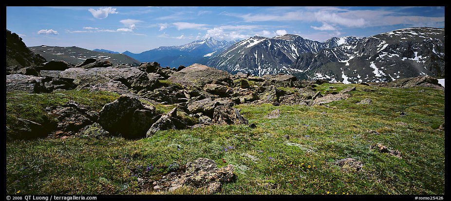 Alpine tundra scenery. Rocky Mountain National Park (color)