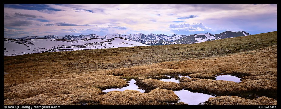 Alpine meadow in autumn. Rocky Mountain National Park (color)