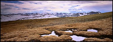 Alpine meadow in autumn. Rocky Mountain National Park (Panoramic color)