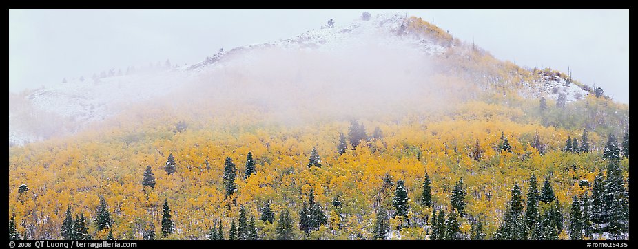 Forest with fall colors and early snow beneath fog-shrouded peak. Rocky Mountain National Park (color)