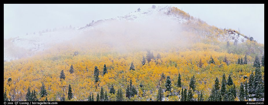 Forest with fall colors and early snow beneath fog-shrouded peak. Rocky Mountain National Park (color)