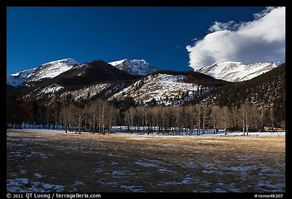 Aspens and mountains, West Horseshoe Park, winter. Rocky Mountain National Park, Colorado, USA.