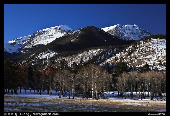 Aspens and Bighorn mountain in winter. Rocky Mountain National Park, Colorado, USA.