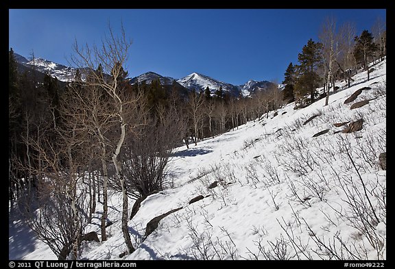 Glacier Basin in winter. Rocky Mountain National Park, Colorado, USA.