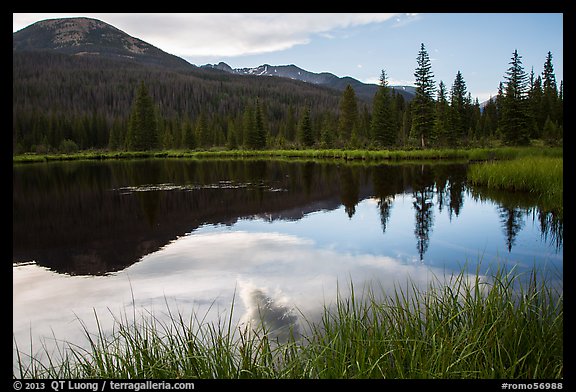 Beaver Pond, Kawuneeche Valley. Rocky Mountain National Park (color)