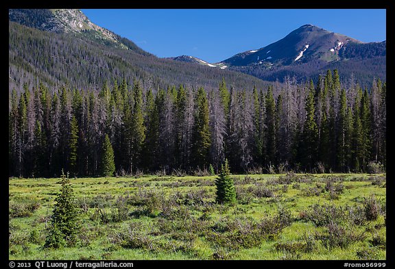 Meadow in Kawuneeche Valley. Rocky Mountain National Park, Colorado, USA.