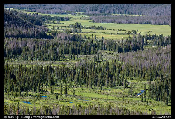 Kawuneeche Valley and Colorado River from above. Rocky Mountain National Park, Colorado, USA.