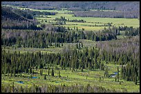 Kawuneeche Valley and Colorado River from above. Rocky Mountain National Park, Colorado, USA. (color)