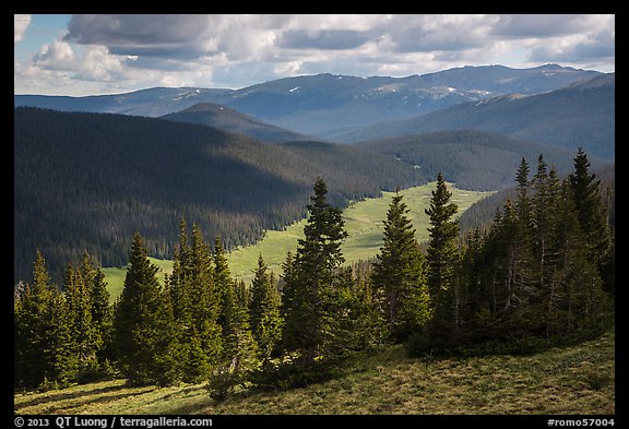 Cache la Poudre River Valley. Rocky Mountain National Park, Colorado, USA.