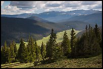 Cache la Poudre River Valley. Rocky Mountain National Park, Colorado, USA. (color)