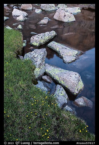 Alpine meadow and lake with boulders. Rocky Mountain National Park, Colorado, USA.