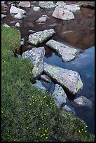 Alpine meadow and lake with boulders. Rocky Mountain National Park ( color)