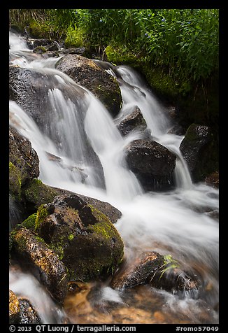 Stream cascading over rocks. Rocky Mountain National Park (color)