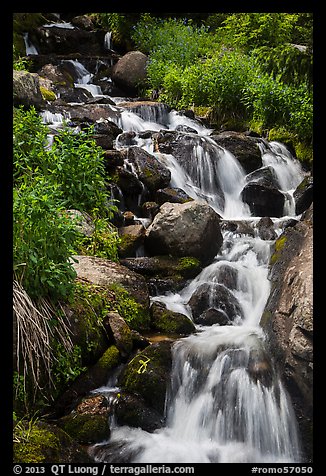 Cascading stream. Rocky Mountain National Park (color)