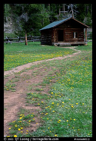 Meadow with flowers and historic cabin, Never Summer Ranch. Rocky Mountain National Park, Colorado, USA.