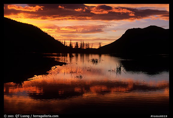 Sunrise on a pond in Horseshoe Park. Rocky Mountain National Park (color)