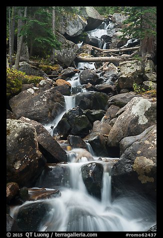 Calypo Cascades, Wild Basin. Rocky Mountain National Park (color)